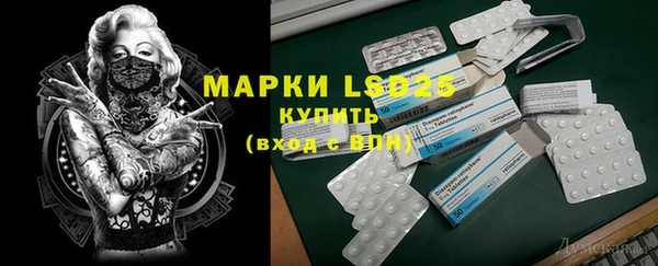 мдпв Магас